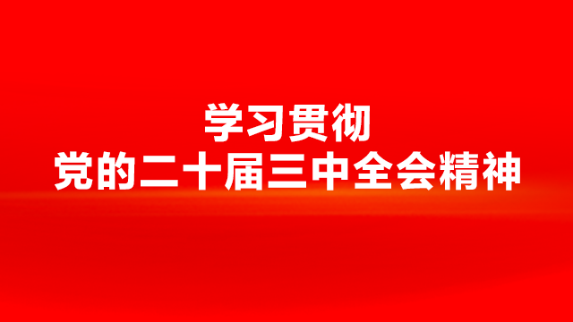 和縣：學(xué)深悟透入腦入心  篤行實(shí)干落地見效